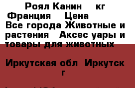  Роял Канин 20 кг Франция! › Цена ­ 3 520 - Все города Животные и растения » Аксесcуары и товары для животных   . Иркутская обл.,Иркутск г.